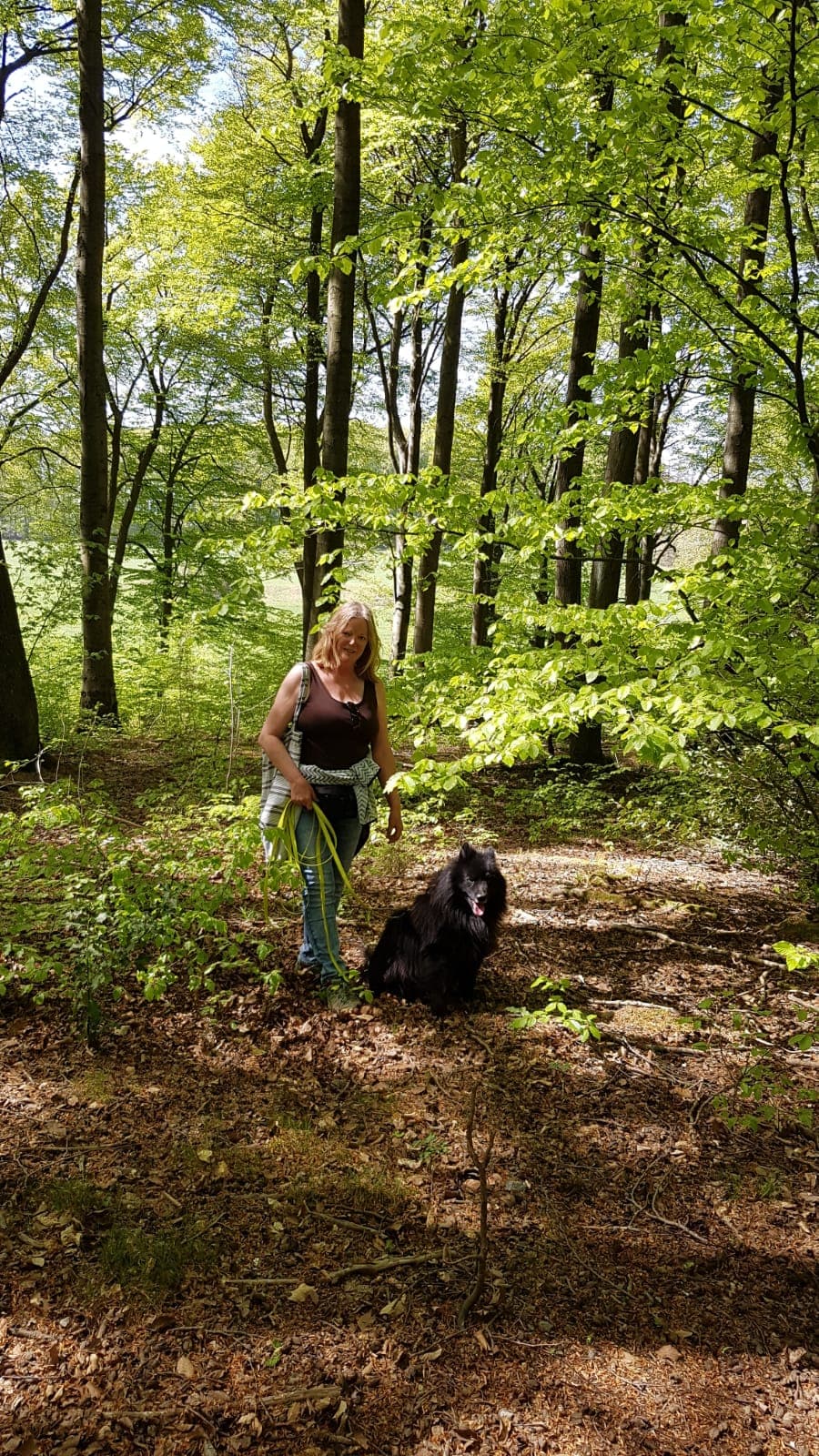Spaziergang mit Hund im Wald